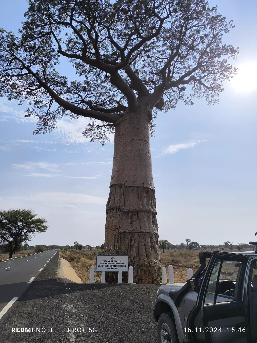Baobab avenue at sunset in Madagascar