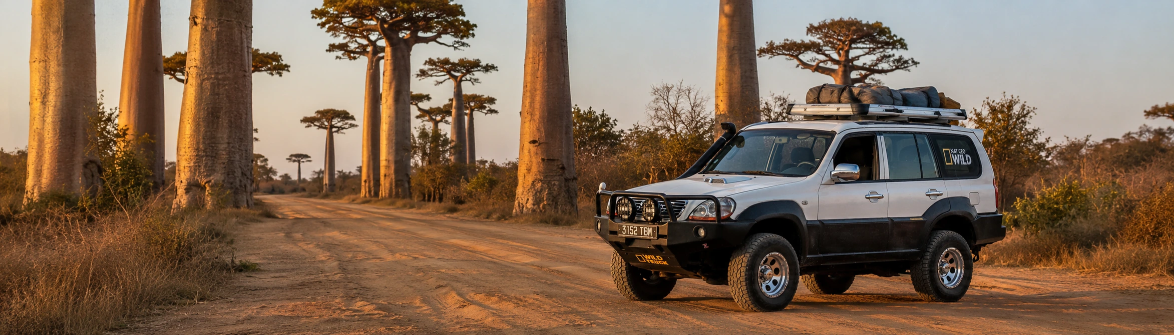 Mada Car Drive Hyundai Terracan on the Avenue of the Baobabs near Morondava at golden hour